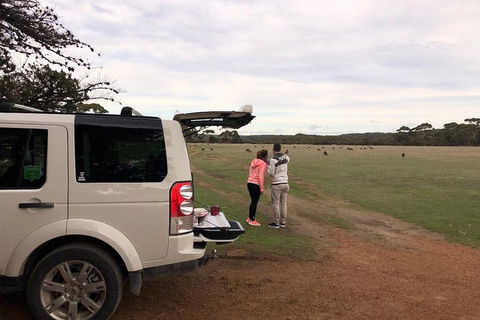 Kangaroo Island 4WD Tour - Flinders Chase - Lightning Ridge Tourism 3