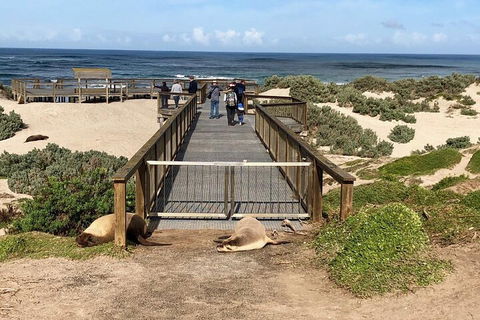 Kangaroo Island 4WD Tour - Best Of KI - Lightning Ridge Tourism 2