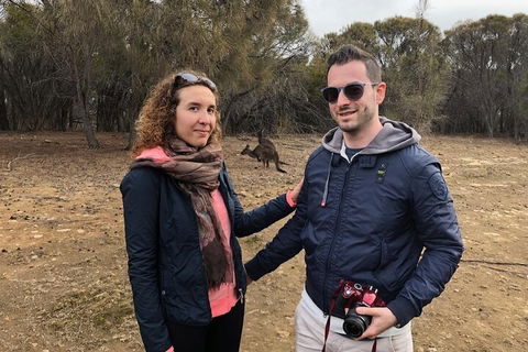 Kangaroo Island 4WD Tour - Best Of KI - Lightning Ridge Tourism 3