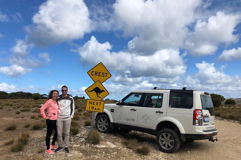 Kangaroo Island 4WD Tour - Best Of KI - Lightning Ridge Tourism 5