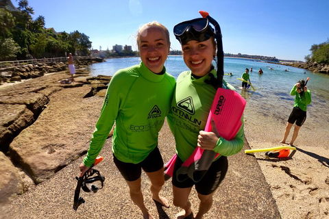 Manly Snorkel Trip And Nature Walk With Local Guide - Lightning Ridge Tourism 1