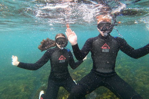 Manly Snorkel Trip And Nature Walk With Local Guide - Lightning Ridge Tourism 3