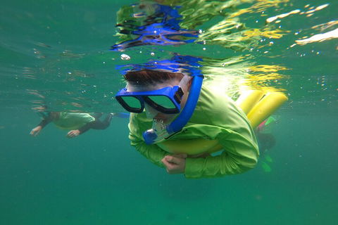 Manly Snorkel Trip And Nature Walk With Local Guide - Lightning Ridge Tourism 5