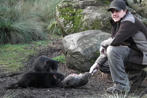 After Dark Tasmanian Devil Feeding Tour At Cradle Mountain - Lightning Ridge Tourism 2