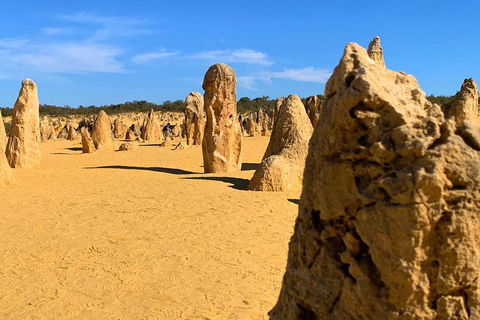 Pinnacles Desert (Private) Day Tour - Lightning Ridge Tourism 0