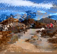 The Big Wave Rock Private Day Tour - Lightning Ridge Tourism