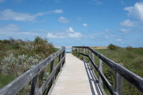 Yanchep & Lancelin - Wildlife, Cave And Sands - Lightning Ridge Tourism 2