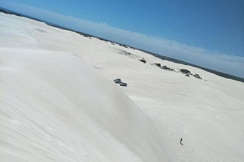 Yanchep & Lancelin - Wildlife, Cave And Sands - Lightning Ridge Tourism 3