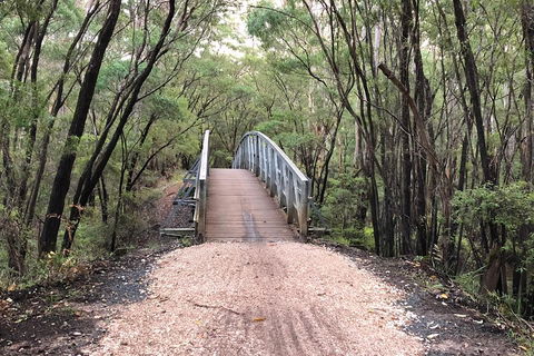 3d/2n Themed Camping Getaway - Private Campgrounds And National Parks - Lightning Ridge Tourism 2