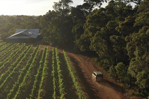 The All About Margaret River Tour: Wine, Coffee, Lunch And Forest - Lightning Ridge Tourism 1