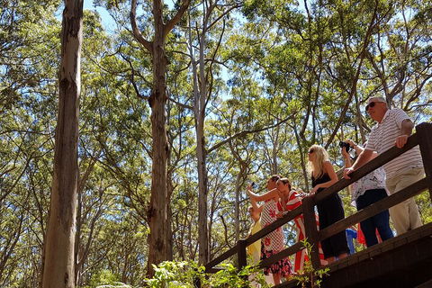 The All About Margaret River Tour: Wine, Coffee, Lunch And Forest - Lightning Ridge Tourism 3