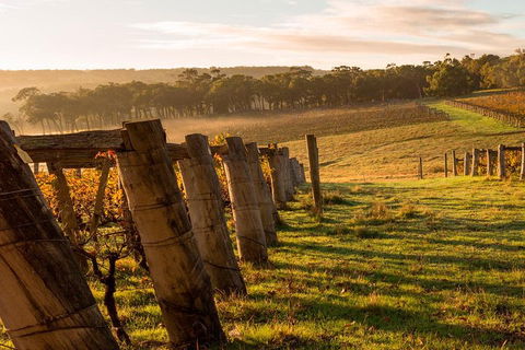 The All About Margaret River Tour: Wine, Coffee, Lunch And Forest - Lightning Ridge Tourism 5