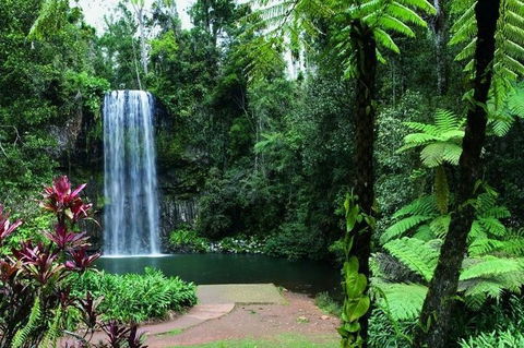 Paronella Park And Millaa Millaa Falls Full-day Tour From Cairns - Lightning Ridge Tourism 3