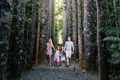 Paronella Park And Millaa Millaa Falls Full-day Tour From Cairns - Lightning Ridge Tourism 5