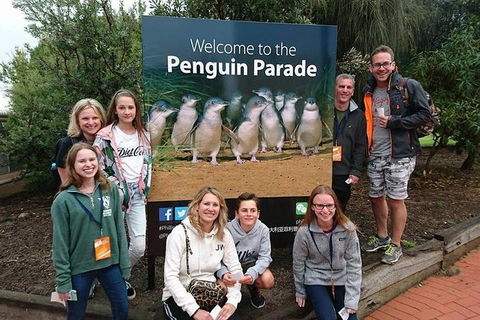 Phillip Island Medium Size Group Tour - Lightning Ridge Tourism 5