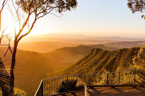O'Reilly's & Lamington National Park Incl. Alpaca Farm + Vineyard - Lightning Ridge Tourism 0