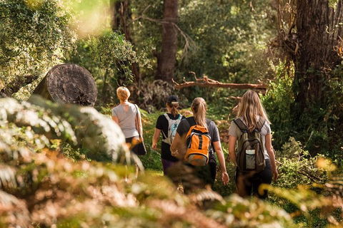 Cabaret Cave Yoga & Mindful Hike - Lightning Ridge Tourism 2