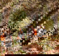 Half-Day Yanchep Ghost House Wilderness Guided Hike Tour - Lightning Ridge Tourism