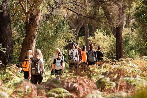 Half-Day Yanchep Ghost House Wilderness Guided Hike Tour - Lightning Ridge Tourism 0