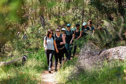 Half-Day Yanchep Ghost House Wilderness Guided Hike Tour - Lightning Ridge Tourism 3