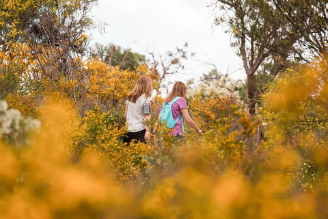 Half-Day Yanchep Ghost House Wilderness Guided Hike Tour - Lightning Ridge Tourism 4