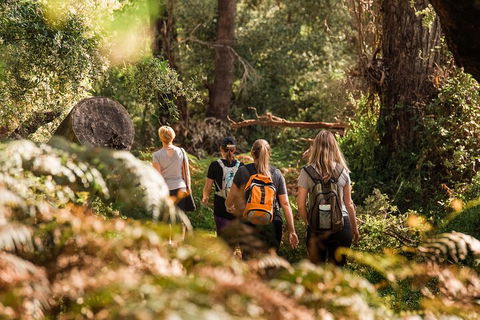 Half-Day Yanchep Ghost House Wilderness Guided Hike Tour - Lightning Ridge Tourism 5