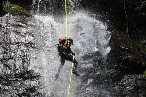 Blue Mountains Empress Canyon Adventure From Wentworth Falls - Lightning Ridge Tourism 3