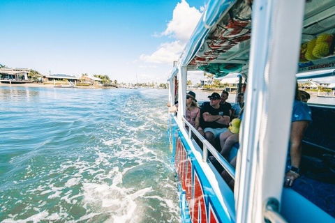 Aquaduck Sunshine Coast - Lightning Ridge Tourism 5