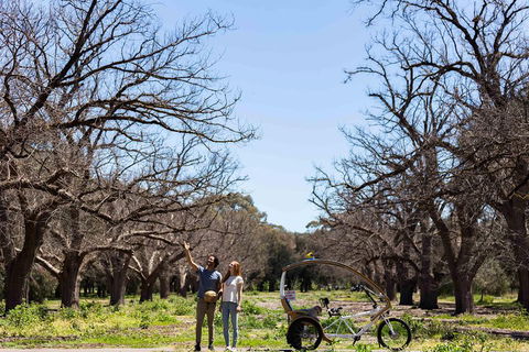Adelaide 90-Minute Pedicab Tour: Scenic Green & River Experience - Lightning Ridge Tourism 1