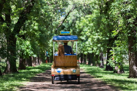 Adelaide 90-Minute Pedicab Tour: Scenic Green & River Experience - Lightning Ridge Tourism 2