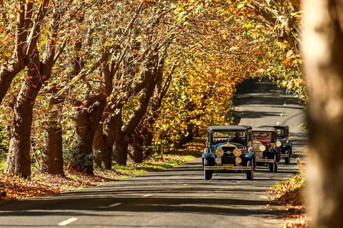 Blue Mountains Vintage Cadillac Tour With Local Guide - Lightning Ridge Tourism 1