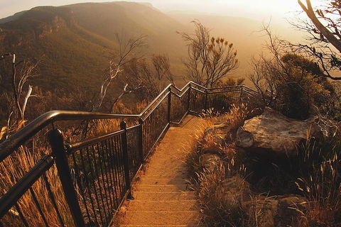 Blue Mountains Vintage Cadillac Tour With Local Guide - Lightning Ridge Tourism 3