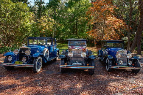 Blue Mountains Vintage Cadillac Tour With Local Guide - Lightning Ridge Tourism 4