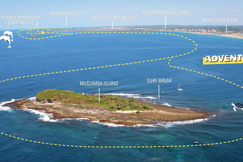 1.5HR Mudjimba Island Wildlife Safari - Lightning Ridge Tourism 1