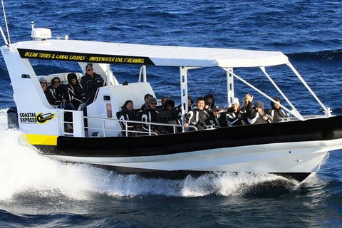 1.5HR Mudjimba Island Wildlife Safari - Lightning Ridge Tourism 2