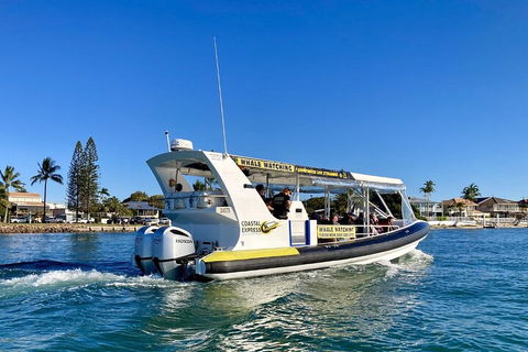 1.5HR Mudjimba Island Wildlife Safari - Lightning Ridge Tourism 4