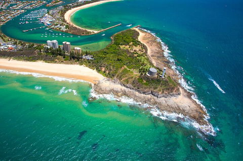 1.5HR Mudjimba Island Wildlife Safari - Lightning Ridge Tourism 5