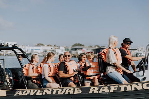 Adventure Whale Watching Tour Mooloolaba - Lightning Ridge Tourism 4