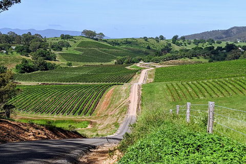 The Complete Hunter Valley Wine Tour Of Pokolbin, Mt View, Lovedale And Rothbury - Lightning Ridge Tourism 0