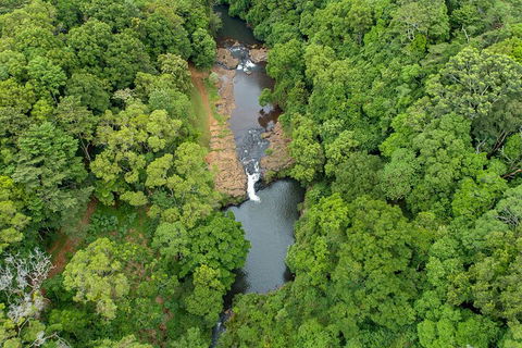 Full-Day Guided Hinterland Adventure Tour In Queensland - Lightning Ridge Tourism 4