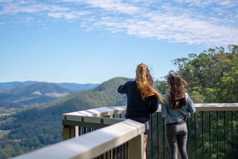 Full-Day Guided Hinterland Adventure Tour In Queensland - Lightning Ridge Tourism 5