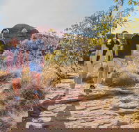 Kings Canyon Day Trip from Ayers Rock Uluru - Lightning Ridge Tourism