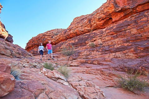 Kings Canyon Day Trip From Ayers Rock (Uluru) - Lightning Ridge Tourism 2