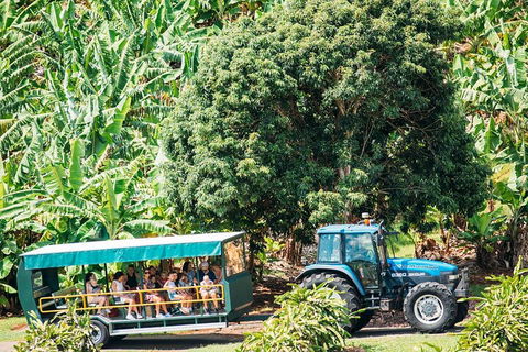 Northern Rivers Full Day Wine Tour - Lightning Ridge Tourism 1