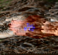 Cape Byron Aboriginal Tour - Lightning Ridge Tourism