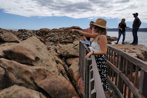 Margaret River Impression Day Tour From Perth - Lightning Ridge Tourism 4