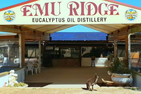 Full-Day Kangaroo Island Safari From Penneshaw - Lightning Ridge Tourism 2