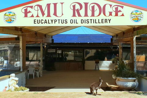 2-Day Kangaroo Island Safari From Adelaide - Lightning Ridge Tourism 4