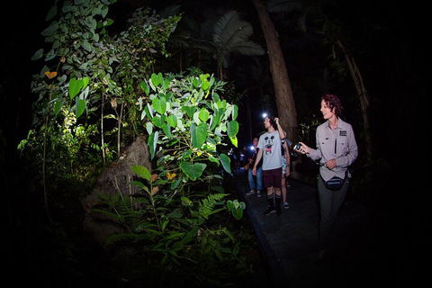 Let's Go Buggin & Let's Go Shroomin - Photography & Nature Walking Tours - Lightning Ridge Tourism 4