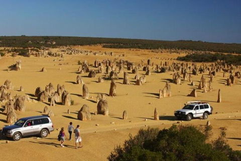1-Day Pinnacles And Yanchep Tour From Perth Including Fish And Chips Lunch - Lightning Ridge Tourism 0
